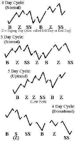 Day Cycle