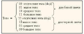 Вторая позиция (два бинарных разряда) кодирует размер тела