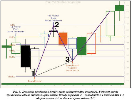 Новая популяция фракталов