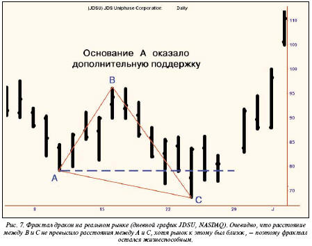 Новая популяция фракталов