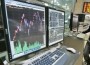 По итогам торгов 23.02.12 индекс DJIA и Nasdaq повысились