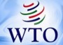 Moody’s: Торговые сети увеличат рентабельность после вступления в ВТО