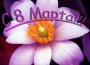 8 марта