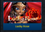 Lucky Rose