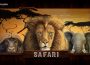 Игровой автомат Safari