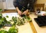 Сегодня расширяем кругозор форекс-трейдеров и рассказываем о том, как сделать пространство вокруг нас более уютным. Это, по идее, пойдет на пользу работу и росту эффективности в торговле валютными парами. Итак, мы начинаем - расскажем про такое растение, как пеперомия.